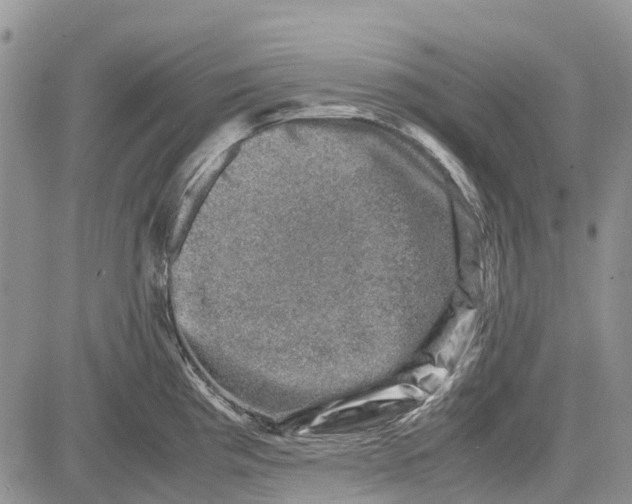 X0000081571193200702051206