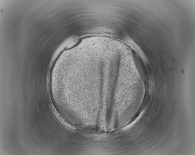 X0000081571196200702051206