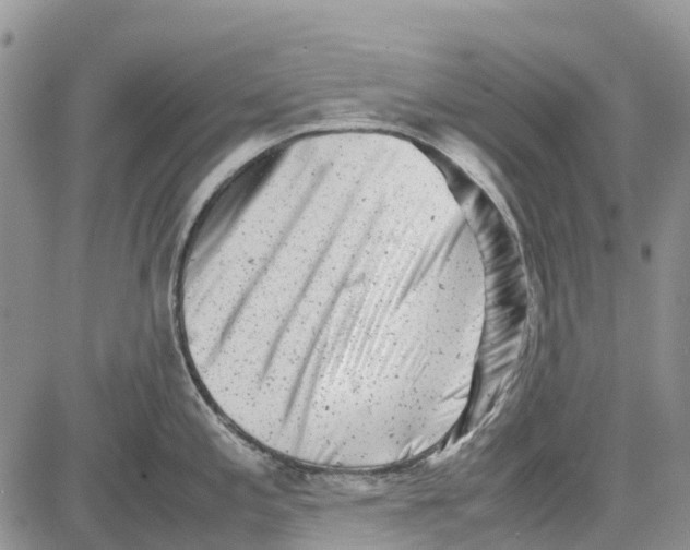 X0000081571197200702051206