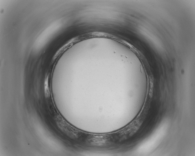 X0000081571198200702051206