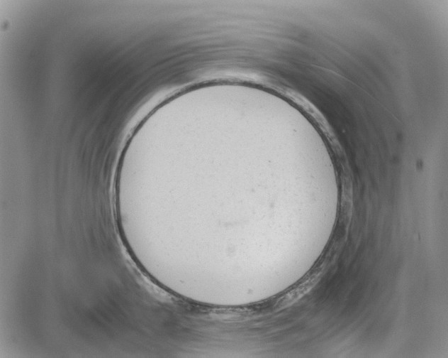 X0000081571199200702051206