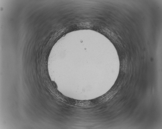 X0000081571201200702051205