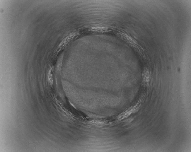 X0000081571202200702051205