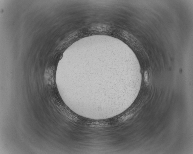 X0000081571203200702051205