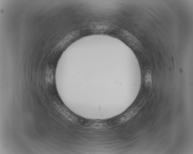 X0000081571204200702051205