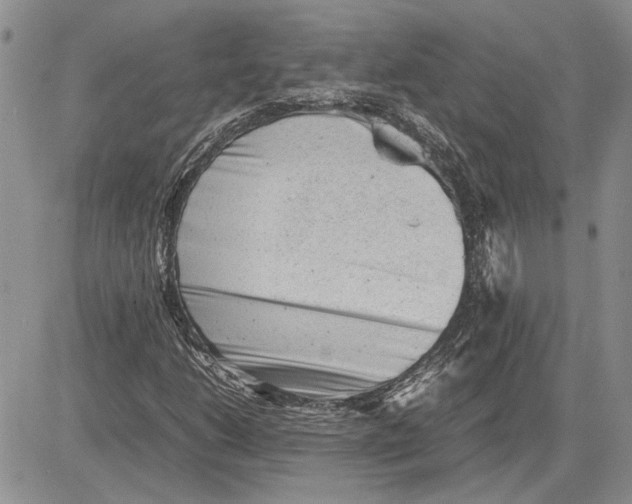 X0000081571206200702051205