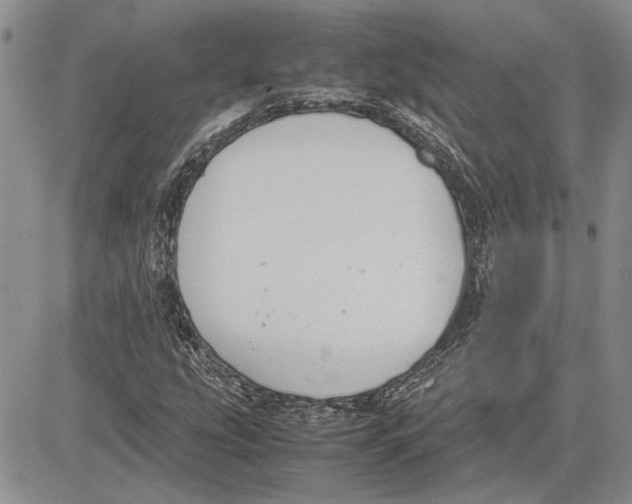 X0000081571207200702051206