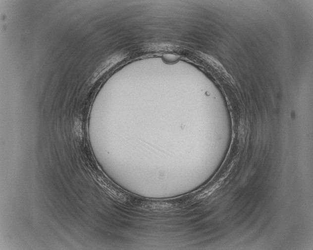 X0000081571209200702051206