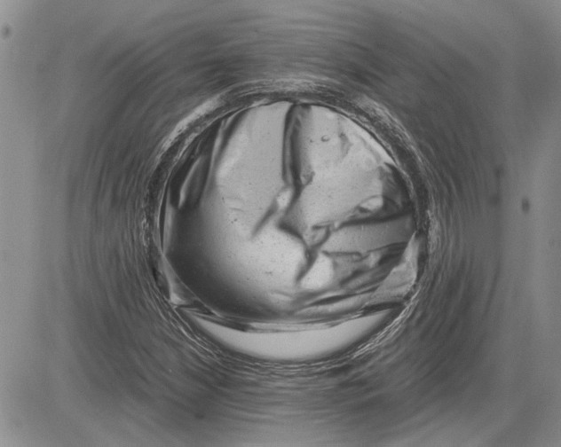 X0000081571210200702051206