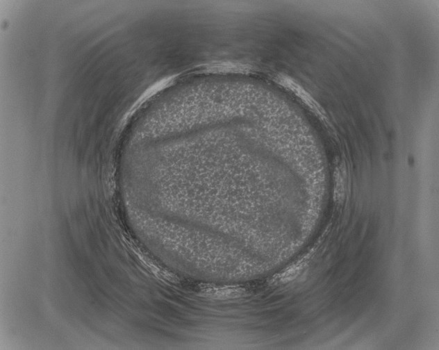 X0000081571213200702051206