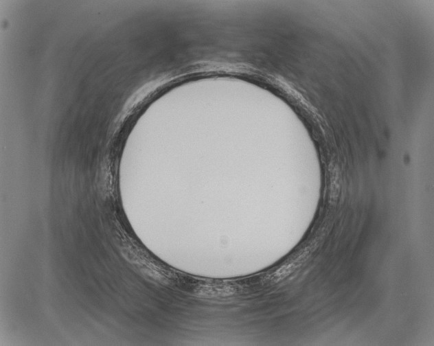 X0000081571215200702051206