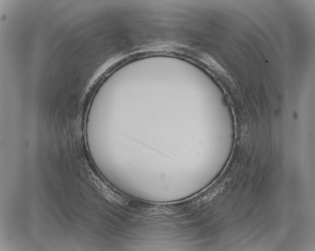 X0000081571216200702051206