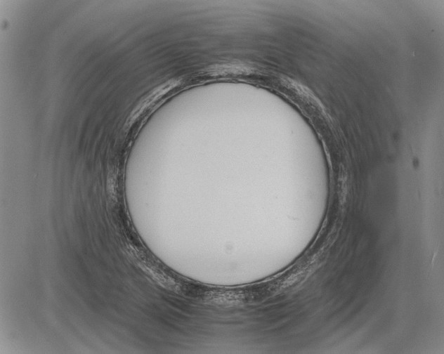 X0000081571217200702051206