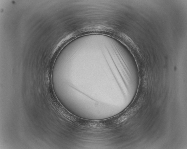 X0000081571218200702051206