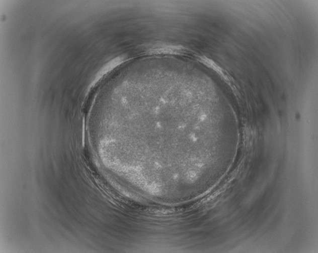 X0000081571219200702051206