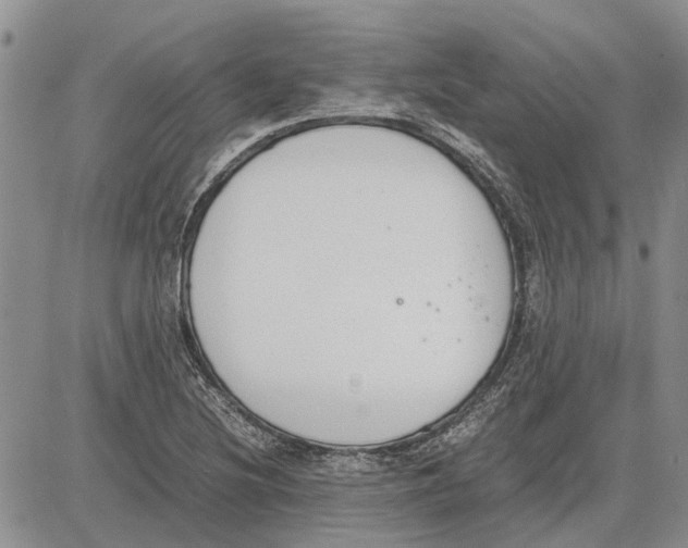 X0000081571220200702051206