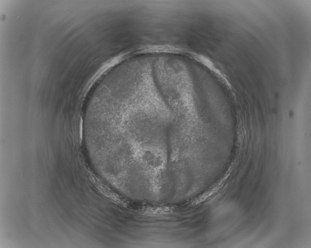 X0000081571221200702051206