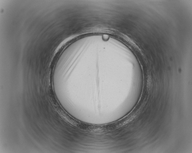 X0000081571222200702051206