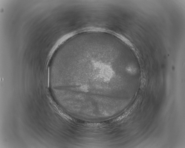 X0000081571223200702051206