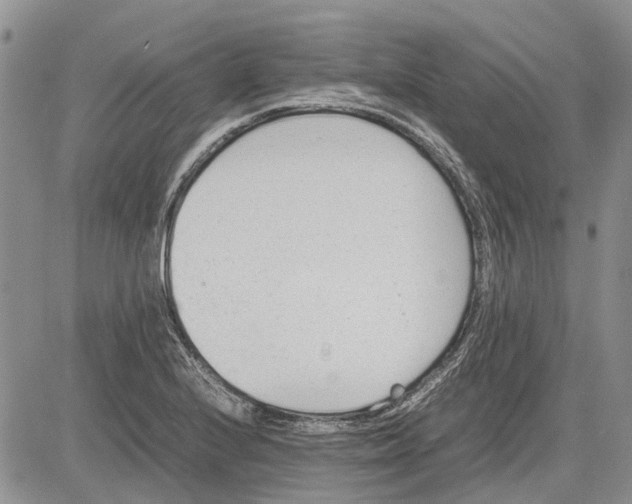 X0000081571224200702051206