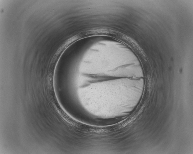 X0000081571225200702051206