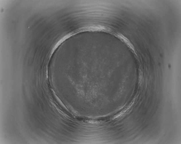 X0000081571226200702051206