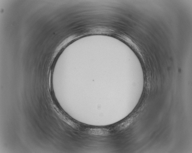 X0000081571227200702051206