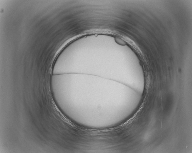 X0000081571228200702051206