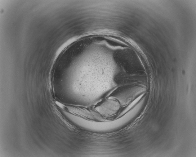 X0000081571230200702051206