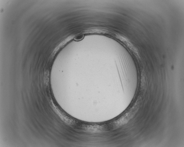 X0000081571233200702051206