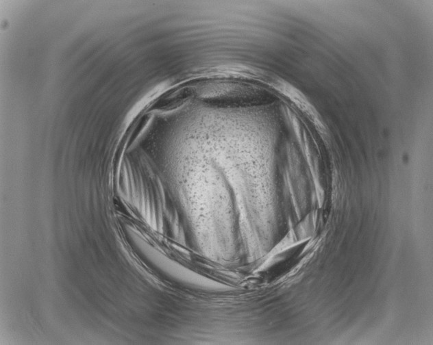 X0000081571234200702051206