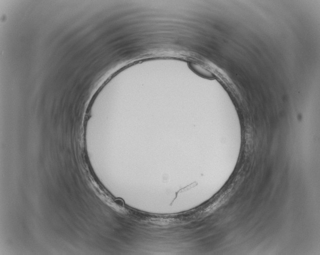 X0000081571236200702051206