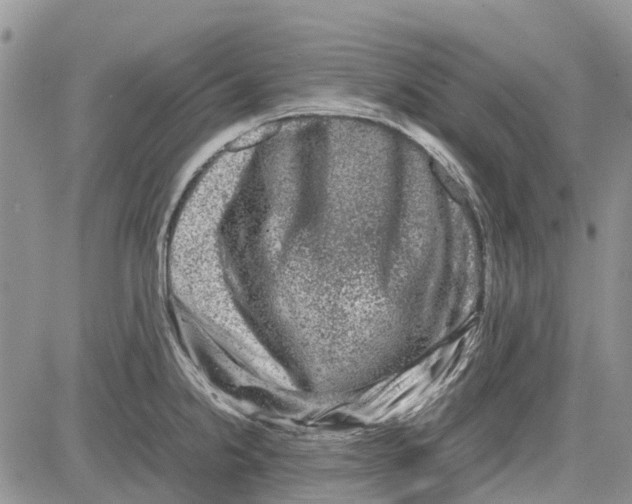 X0000081571238200702051206