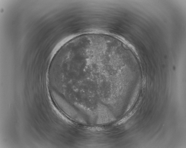 X0000081571239200702051206