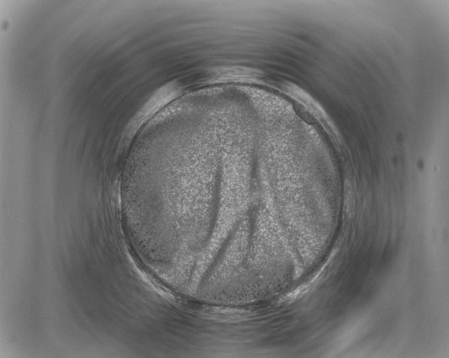 X0000081571241200702051206