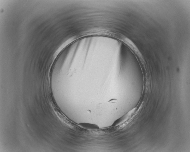 X0000081571242200702051206