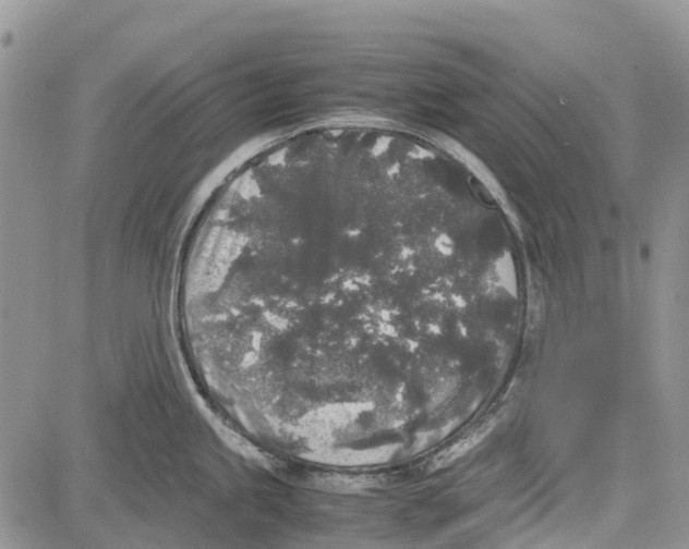 X0000081571245200702051206