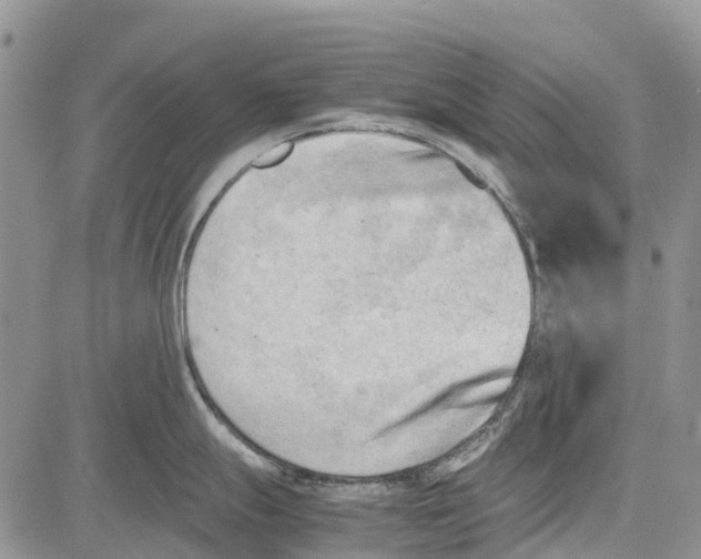 X0000081571247200702051206