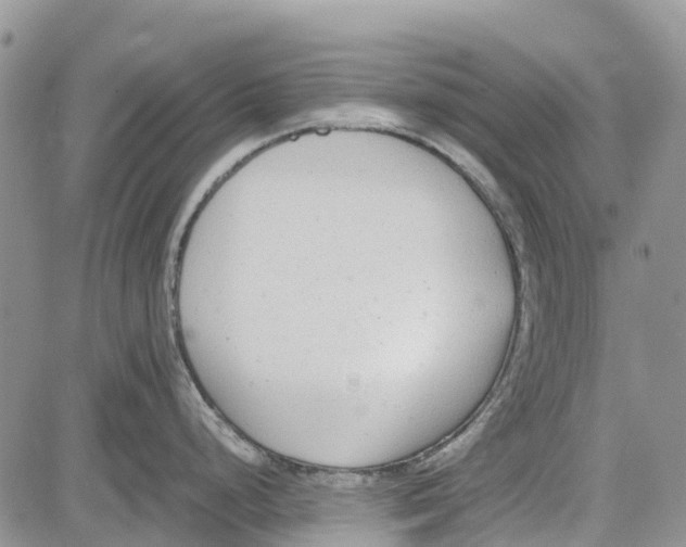 X0000081571248200702051206