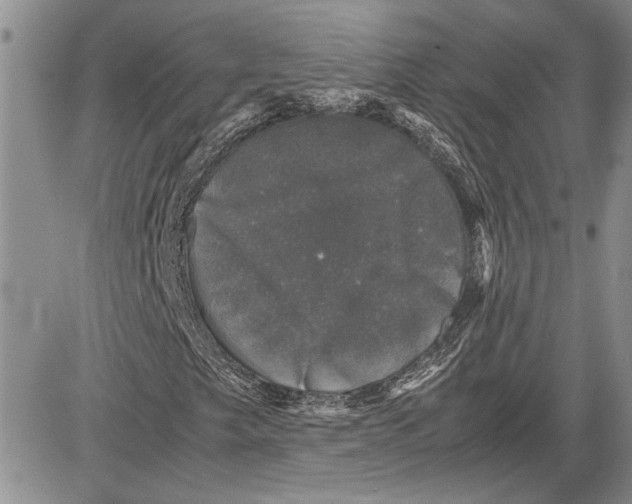 X0000081571249200702051205