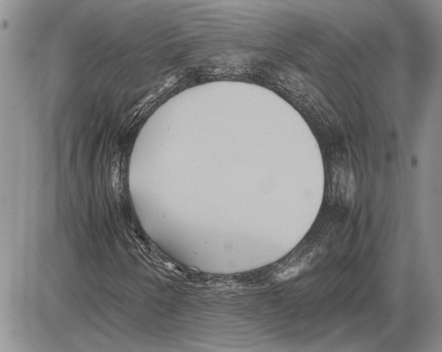 X0000081571250200702051205