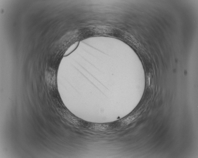 X0000081571251200702051205