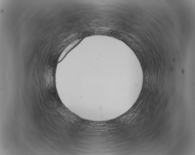 X0000081571252200702051205