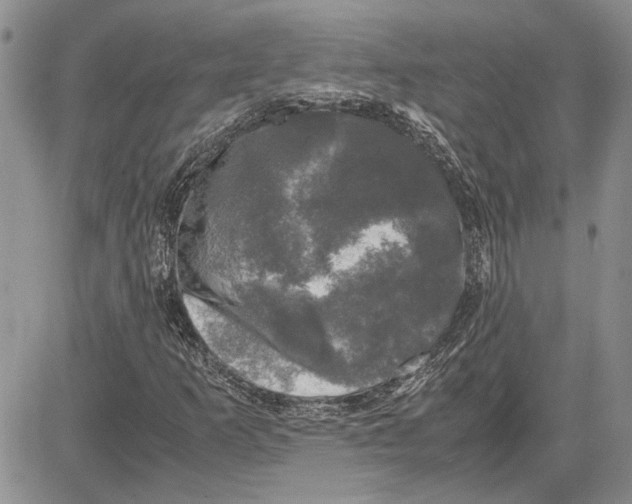 X0000081571253200702051205