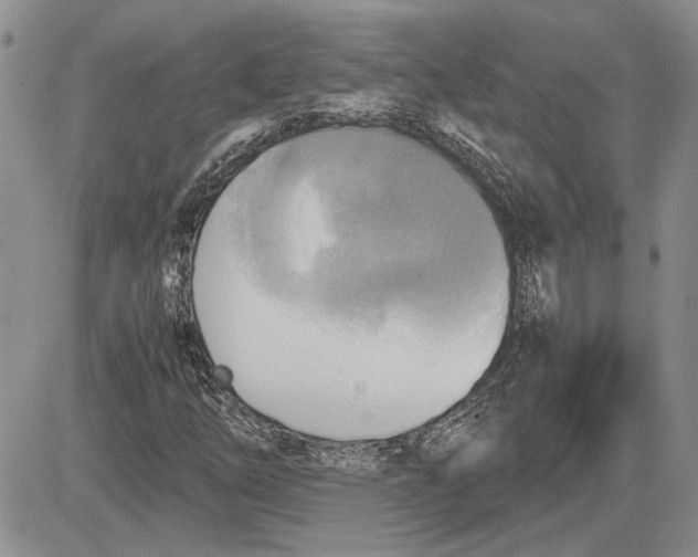 X0000081571254200702051205