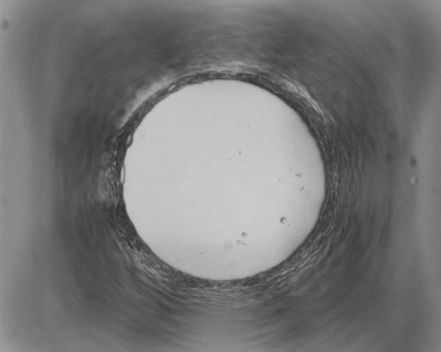 X0000081571256200702051205