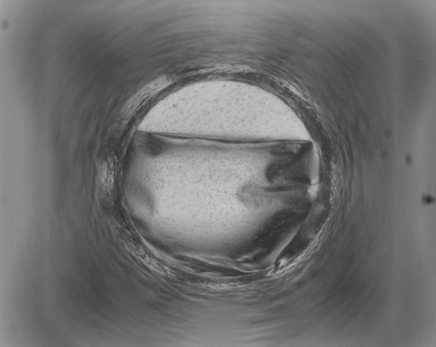 X0000081571257200702051205