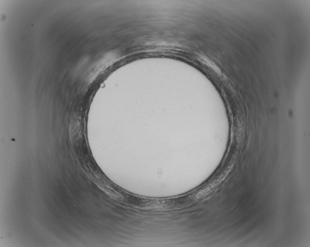 X0000081571259200702051205