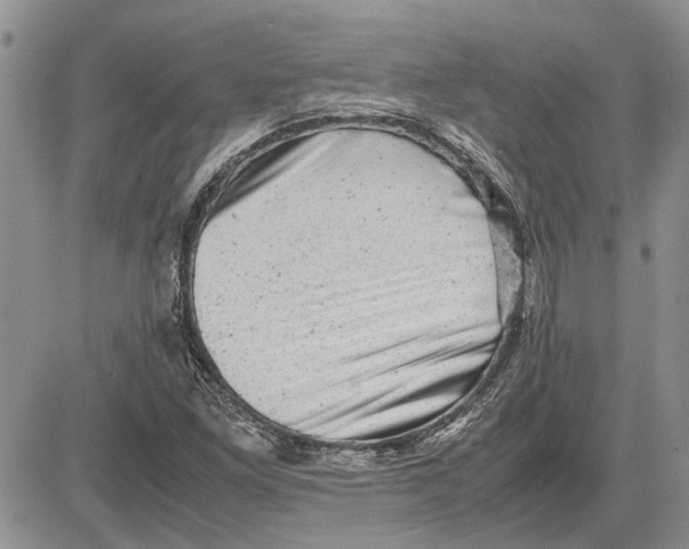 X0000081571261200702051205