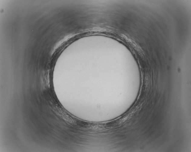 X0000081571262200702051205